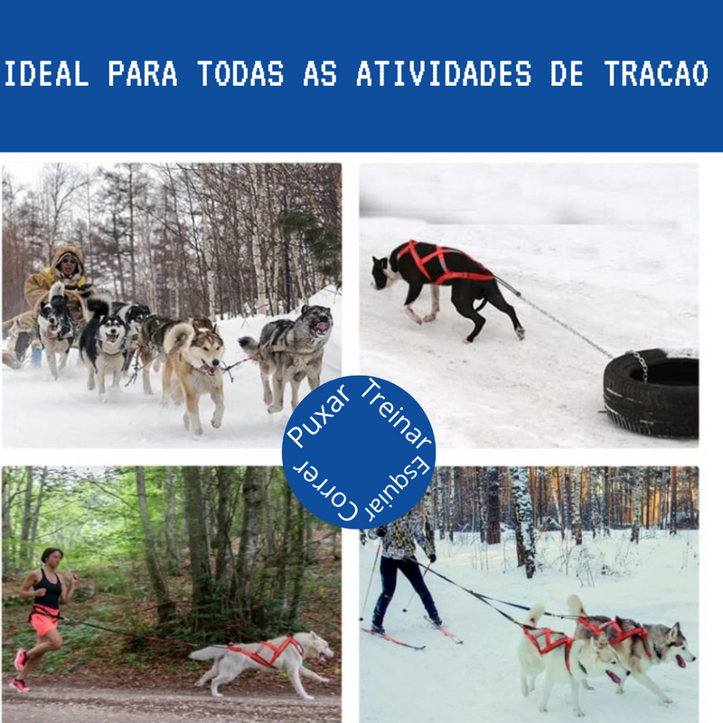 PEITORAL PARA HUSKYS E MALAMUTES