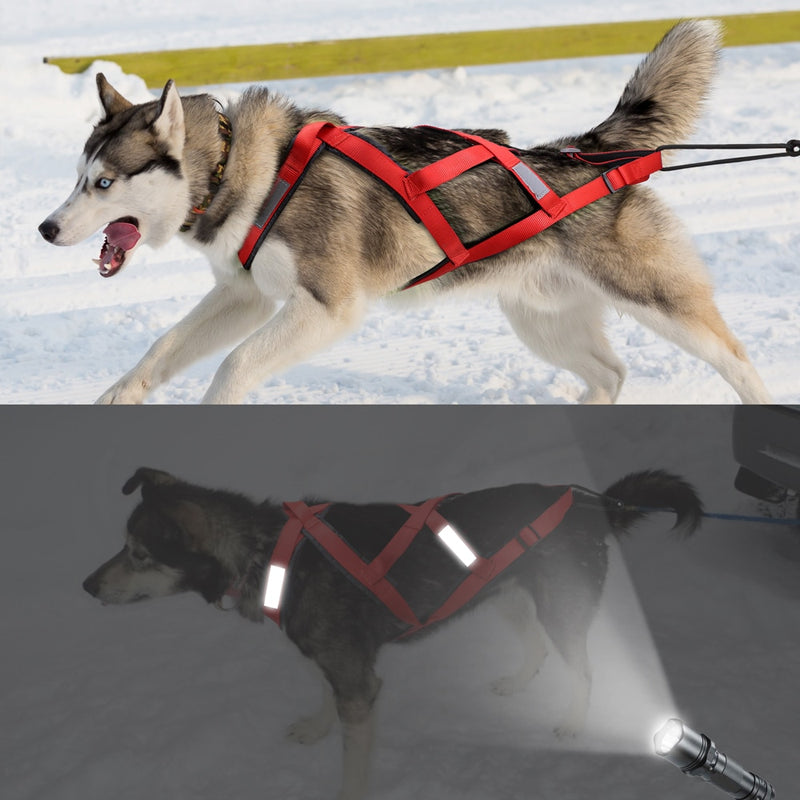 PEITORAL PARA HUSKYS E MALAMUTES