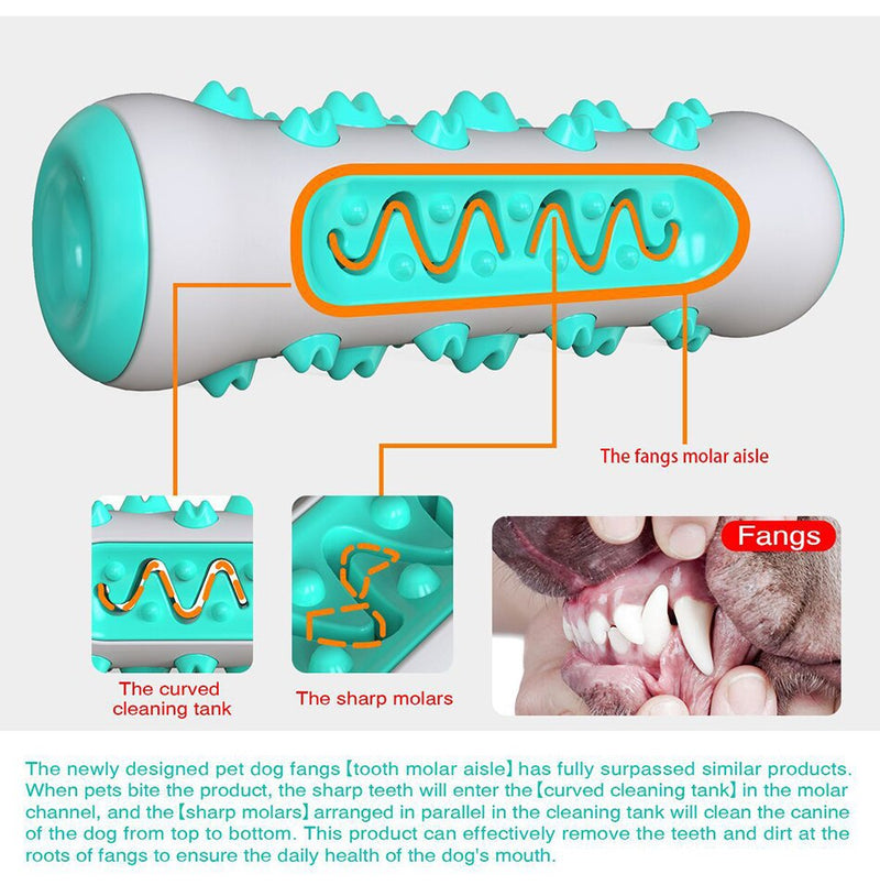 BRINQUEDO INTELIGENTE,LIMPEZA DOS DENTES