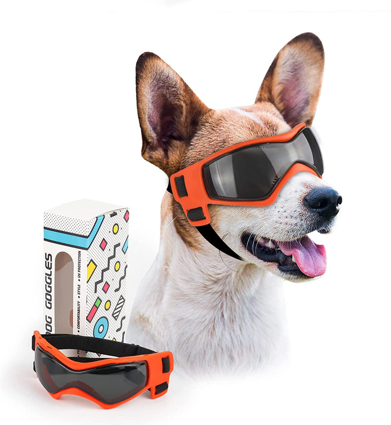 KIT PET INFLUENCER, CAPACETE+ ÓCULOS