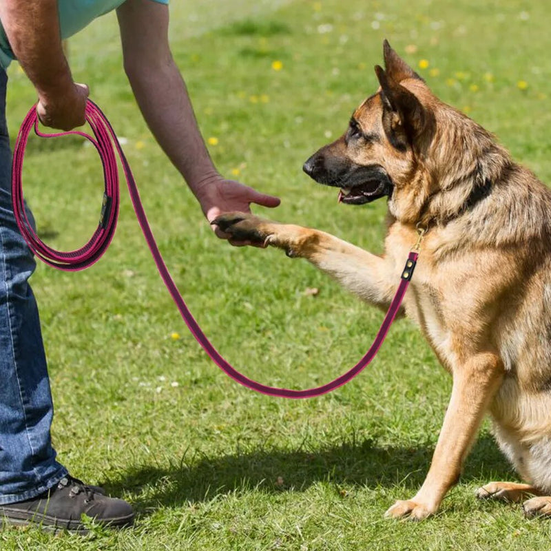 GUIA LONGA PARA CÃES