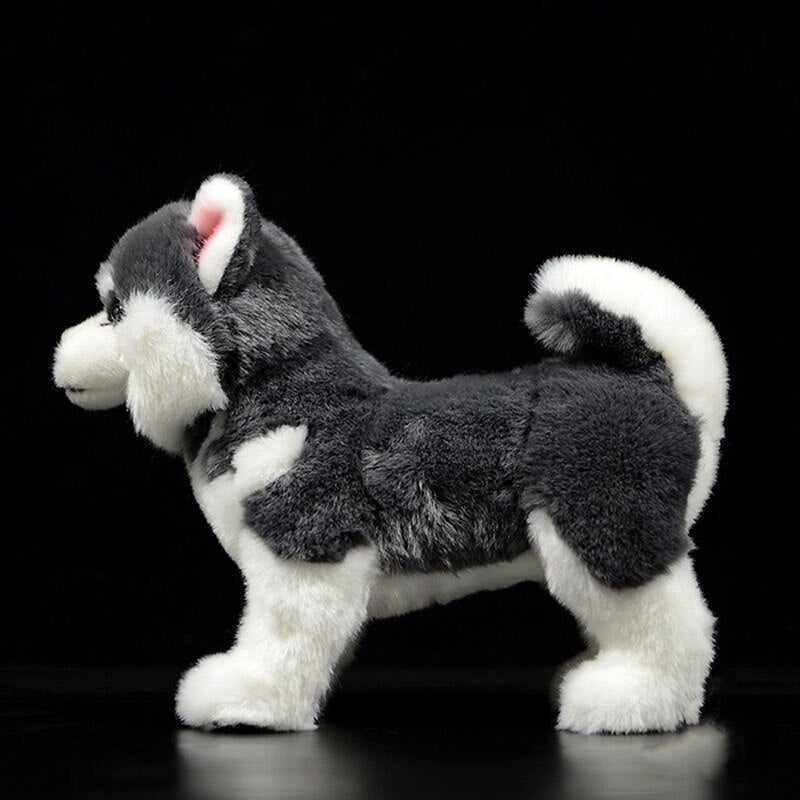 HUSKY SIBERIANO PELÚCIA