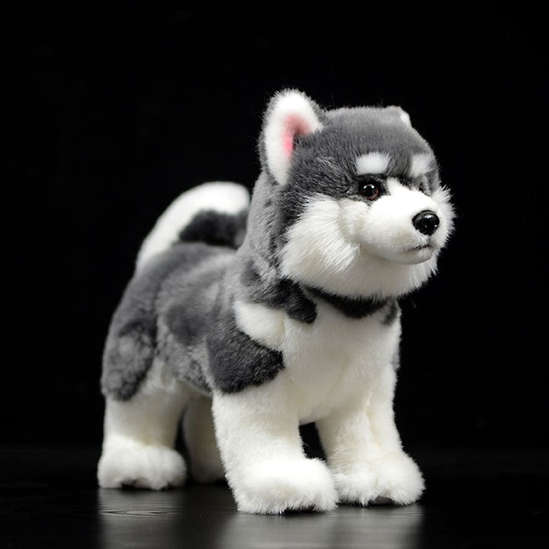 HUSKY SIBERIANO PELÚCIA